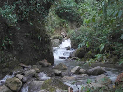 PARQUE NACIONAL YANACHAGA CHEMILLEN PUESTO DE CONTROL HUAMPAL 09