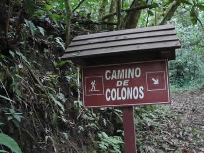 PARQUE NACIONAL YANACHAGA CHEMILLEN 13