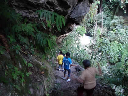 PARQUE NACIONAL YANACHAGA CHEMILLEN 18