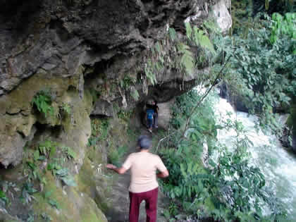 PARQUE NACIONAL YANACHAGA CHEMILLEN 19