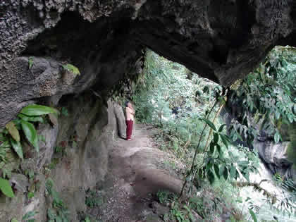 PARQUE NACIONAL YANACHAGA CHEMILLEN 20