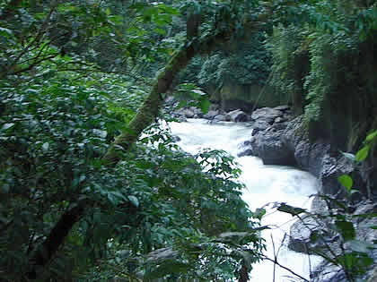 PARQUE NACIONAL YANACHAGA CHEMILLEN 24