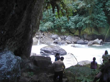 PARQUE NACIONAL YANACHAGA CHEMILLEN 28