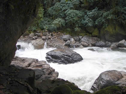 PARQUE NACIONAL YANACHAGA CHEMILLEN 29