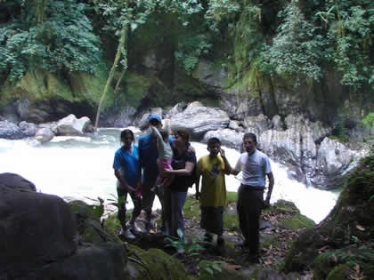 PARQUE NACIONAL YANACHAGA CHEMILLEN 30