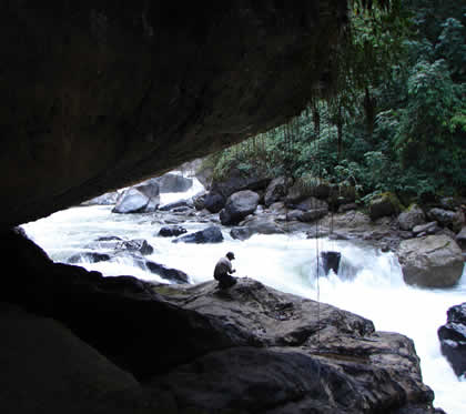 PARQUE NACIONAL YANACHAGA CHEMILLEN 31