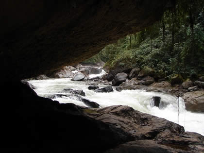 PARQUE NACIONAL YANACHAGA CHEMILLEN 36