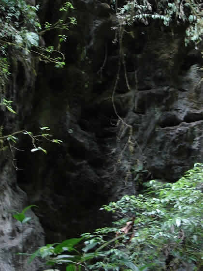 PARQUE NACIONAL YANACHAGA CHEMILLEN 37