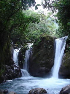 PARQUE NACIONAL YANACHAGA CHEMILLEN 43