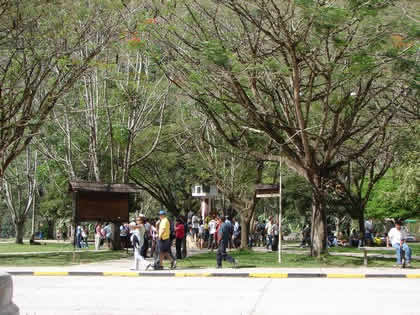 PLAZA DE ARMAS DE POZUZO 01