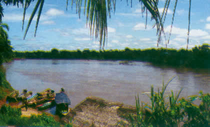 PUERTO BERMUDEZ 03