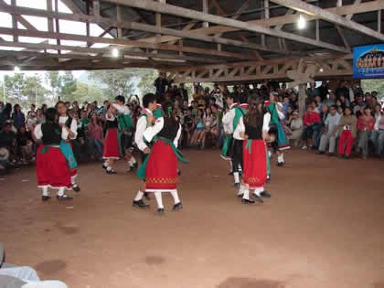 DANZAS TIPICAS AUSTRO ALEMANAS 11