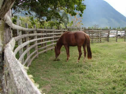 RODEO EN EL RANCHO RUFFNER 04