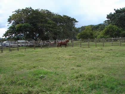 RODEO EN EL RANCHO RUFFNER 05