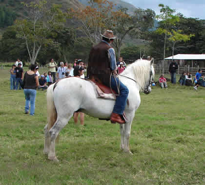 TORNEO DE CINTAS A CABALLO 01