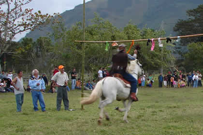 TORNEO DE CINTAS A CABALLO 08