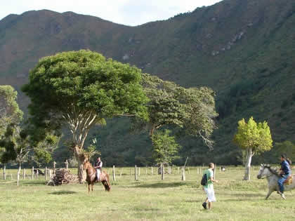 TORNEO DE CINTAS A CABALLO 26