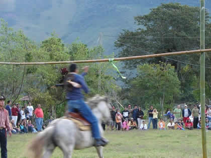 TORNEO DE CINTAS A CABALLO 29