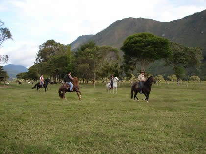 TORNEO DE CINTAS A CABALLO 30