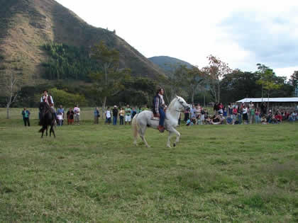 TORNEO DE CINTAS A CABALLO 31