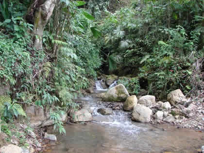 RETORNO DE POZUZO A OXAPAMPA 01