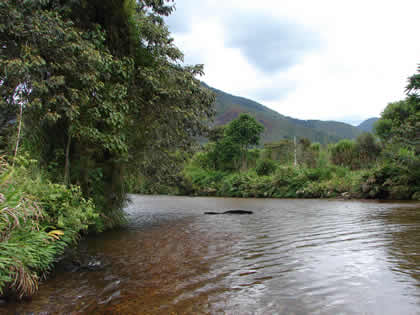 RIO CHONTABAMBA 05