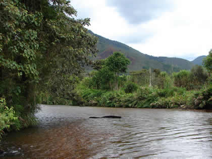 RIO CHONTABAMBA 06