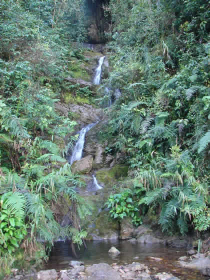 RUTA OXAPAMPA VILLA RICA 05