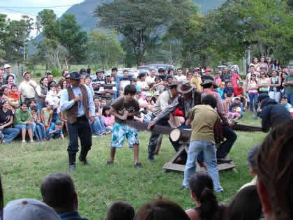 TURISTAS CORTANDO TRONCOS CON TROZADORA 01