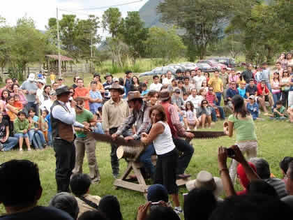 TURISTAS CORTANDO TRONCOS CON TROZADORA 04