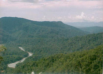 PARQUE NACIONAL YANACHAGA CHEMILLEN 03