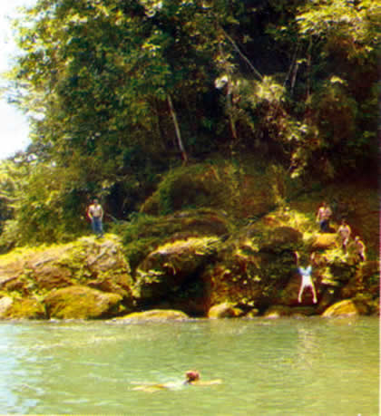 PARQUE NACIONAL YANACHAGA CHEMILLEN 06