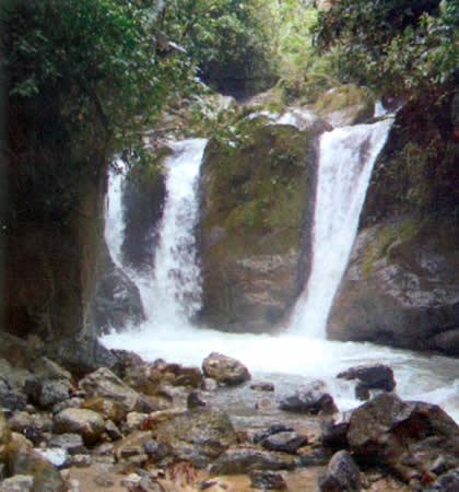 PARQUE NACIONAL YANACHAGA CHEMILLEN 07