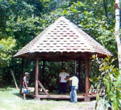 PARQUE NACIONAL YANACHAGA CHEMILLEN 08