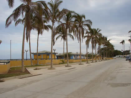 BOULEVARD TURISTICO DE LOS ORGANOS 07