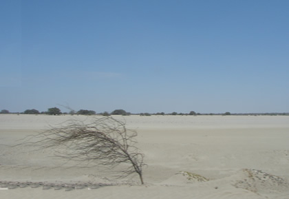 DESIERTO DE SECHURA 07