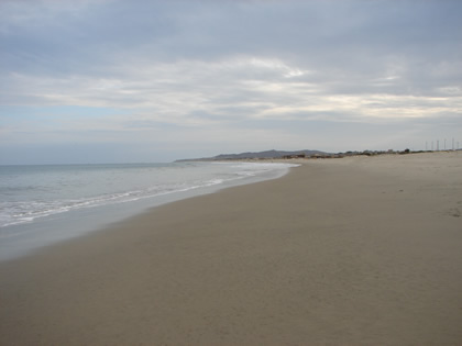 PLAYA LOS ORGANOS 08