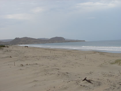 PLAYA VICHAYITO 01