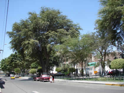 PLAZA TRES CULTURAS 05