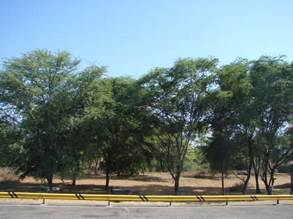 RUTA PIURA CHULUCANAS 04