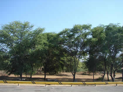 RUTA PIURA CHULUCANAS 07