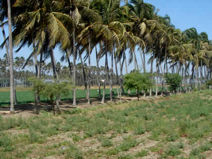 RUTA SECHURA CATACAOS 02