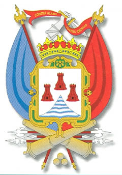 escudo de puno