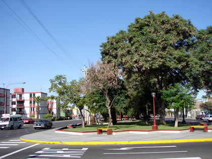 ALAMEDA GRAU 04