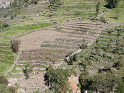 ANDENES DE CHACAWIRA TARATA 03