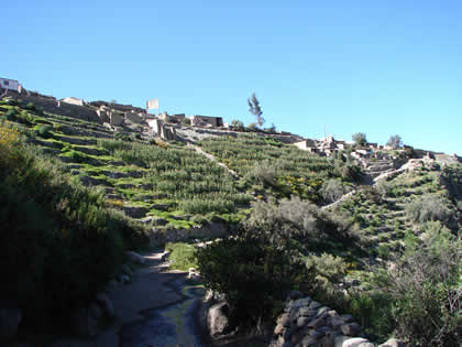 CAMINO INCA TARATA SANTA MARIA 02