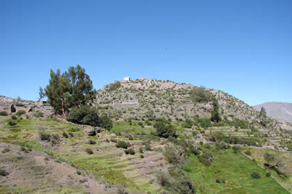 CERRO SANTA MARIA TARATA 01