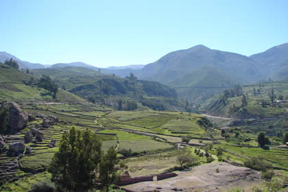 CERRO SANTA MARIA TARATA 05