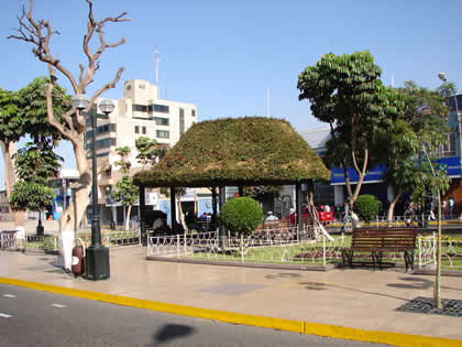 PASEO CIVICO 06