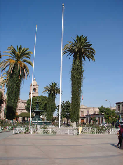 PASEO CIVICO 07